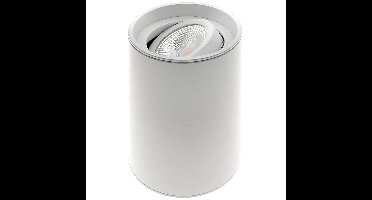 ETH OpbouwspotViggo 1x GU10 - wit - 05-SP2400-31